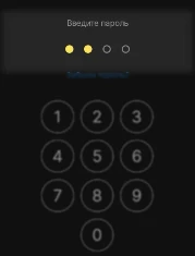 Панель безопасности и авторизации в mega app